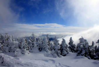 Картинка природа зима северная америка