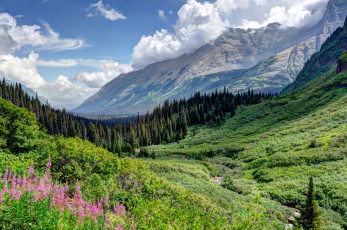 Картинка природа горы штат монтана сша