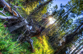 Картинка природа восходы закаты канада