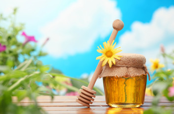 Картинка еда мёд варенье повидло джем баночка цветы ромашка