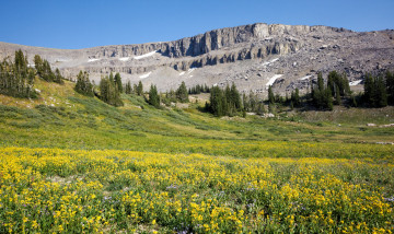 Картинка природа луга сша штат вайоминг
