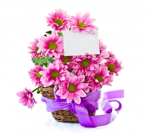 Обои картинки фото цветы, хризантемы, записка, лента, корзинка