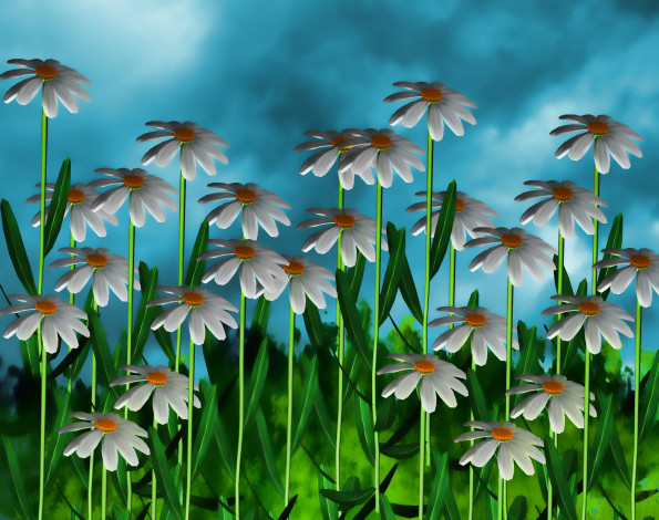 Обои картинки фото 3д, графика, flowers, цветы, ромашки