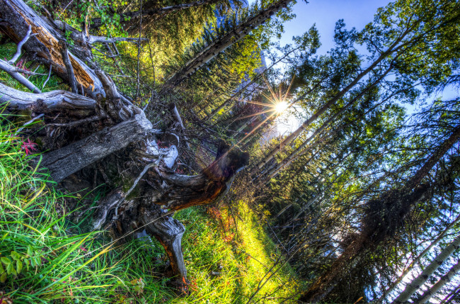 Обои картинки фото природа, восходы, закаты, канада