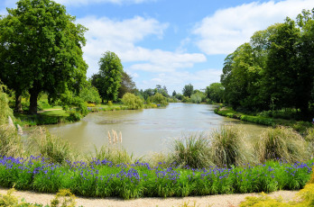 Картинка природа реки озера пруд тропинка лето лес