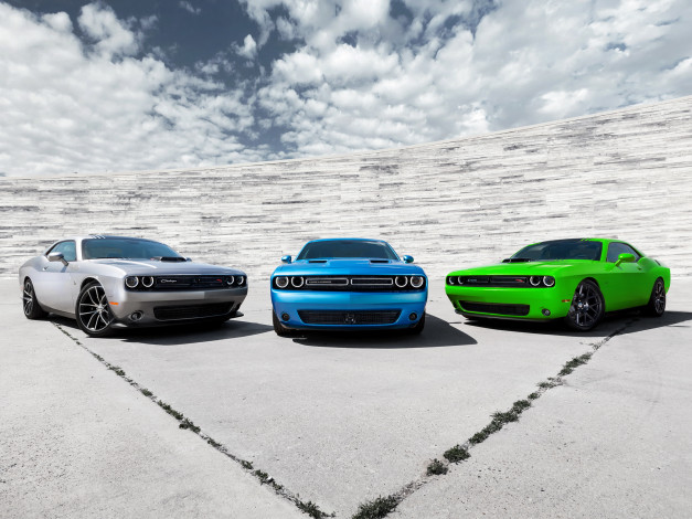 Обои картинки фото автомобили, dodge, challenger