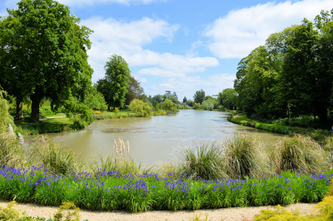 Обои картинки фото природа, реки, озера, пруд, тропинка, лето, лес