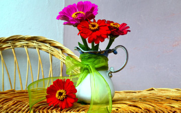 Картинка цветы цинния бант малиновый красный