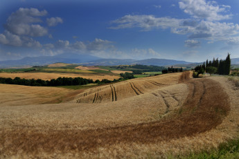 Картинка природа пейзажи равнина