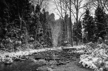 Картинка природа реки озера река лес