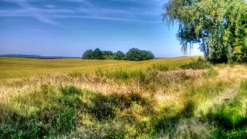 Картинка природа пейзажи равнина