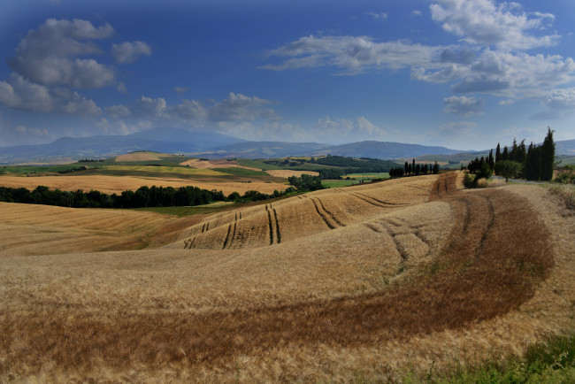 Обои картинки фото природа, пейзажи, равнина