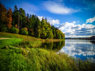 Картинка природа реки озера река лес