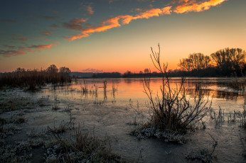 Картинка природа реки озера река лес