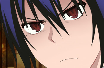 Картинка аниме nisekoi персонаж