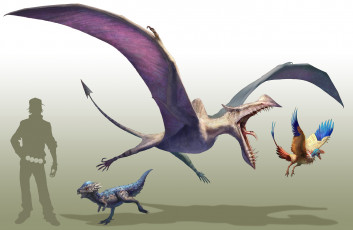 Картинка аниме pokemon чудище монстр чудовище существо