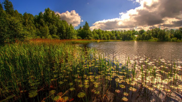 Картинка природа реки озера красота родной