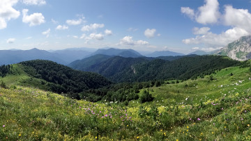 Картинка природа пейзажи красота родной