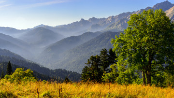 Картинка природа пейзажи красота родной