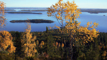 Картинка природа реки озера красота родной