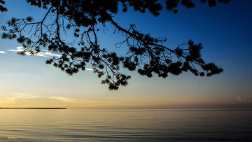 Картинка природа реки озера красота родной