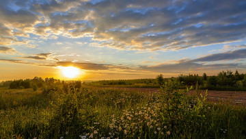 Картинка природа восходы закаты красота родной