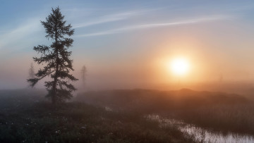 Картинка природа восходы закаты красота родной