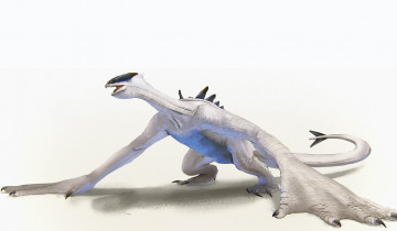 Картинка аниме pokemon существо чудище чудовище монстр