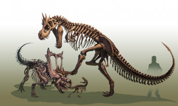 Картинка аниме pokemon чудовище монстр чудище существо