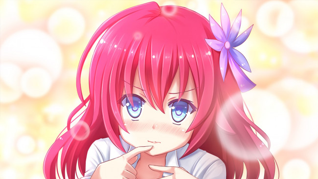 Обои картинки фото аниме, no game no life, фон, взгляд, девушка