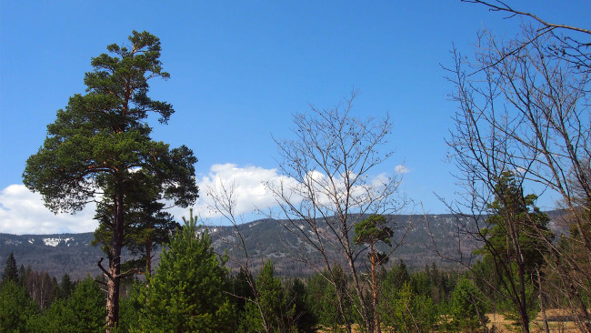 Обои картинки фото природа, пейзажи, красота, родной