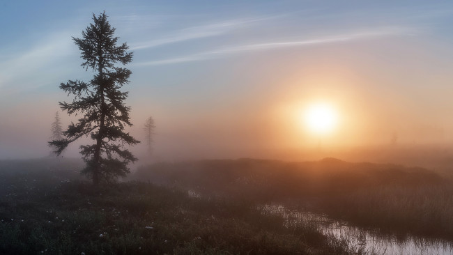 Обои картинки фото природа, восходы, закаты, красота, родной