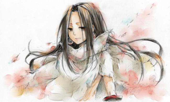 Обои картинки фото аниме, shaman king, зик