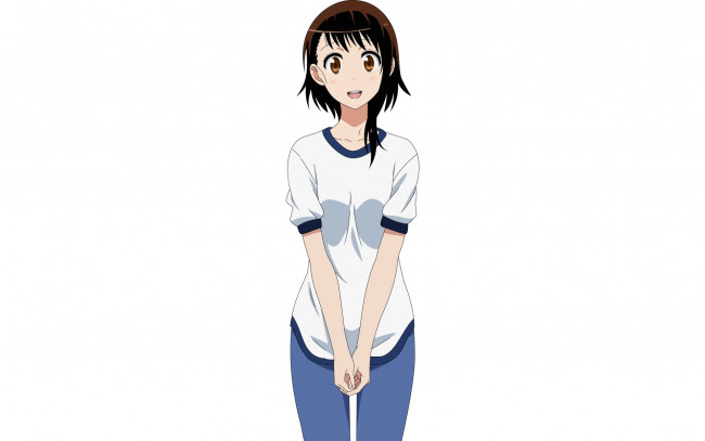 Обои картинки фото аниме, nisekoi, фон, взгляд, девушка