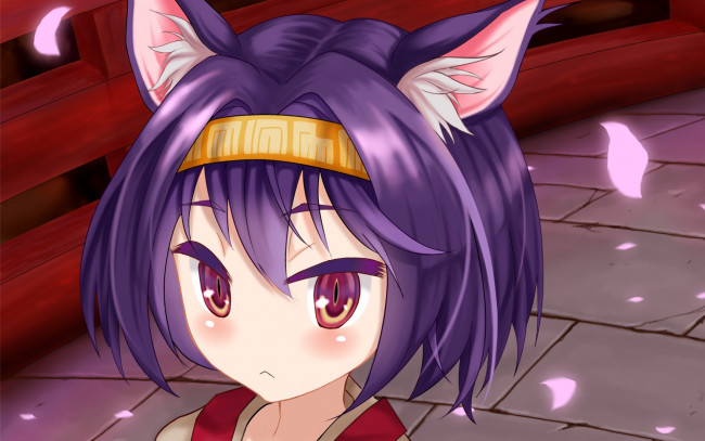 Обои картинки фото аниме, no game no life, фон, взгляд, девушка