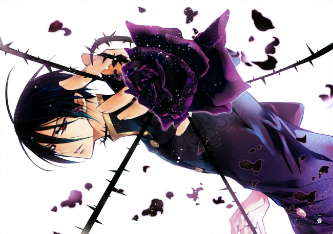 Обои картинки фото аниме, kiss of rose princess, стебли, с, шипами, чёрная, роза, красные, глаза, лепестки, белый, фон, art, mutsuki, kurama, парень, kiss, of, rose, princess, aya, shouoto