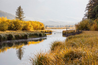 Картинка природа реки озера простор