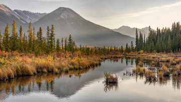 Картинка природа реки озера простор