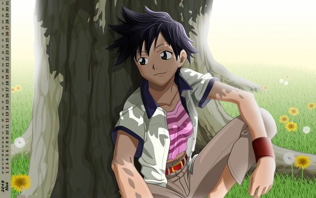 Обои картинки фото календари, аниме, цветы, юноша, взгляд