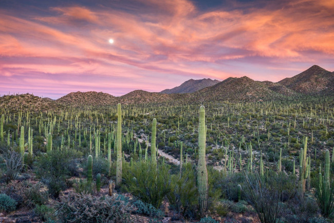 Обои картинки фото природа, пустыни, простор