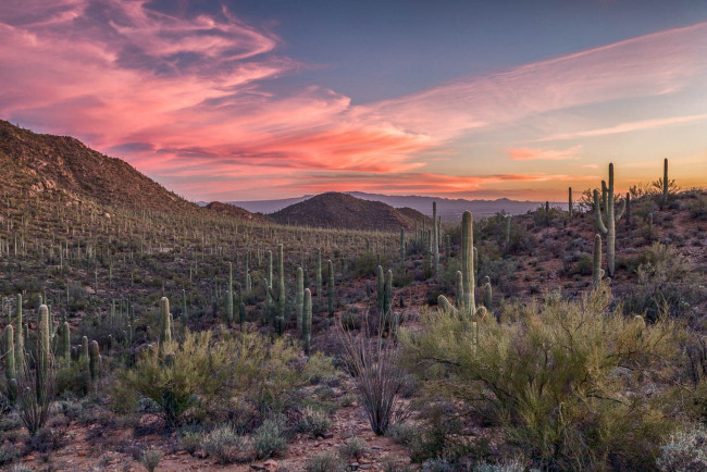 Обои картинки фото природа, пустыни, простор