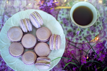 Картинка еда макаруны лакомство печенье