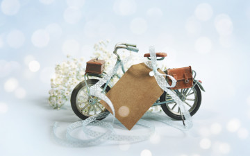 Картинка разное -+другое цветы велосипед композиция