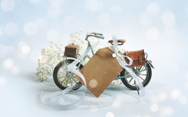 Обои картинки фото разное, - другое, цветы, велосипед, композиция