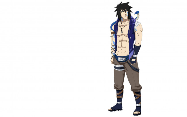 Обои картинки фото аниме, naruto, hiroshi, змея, нукенин