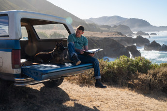 Картинка dog+||+2022 кино+фильмы dog лулу и бриггс кадры из фильма комедия драма ченнинг татум author oreskis channing tatum