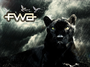 Картинка разное надписи логотипы знаки