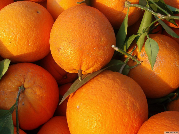 Обои картинки фото еда, цитрусы