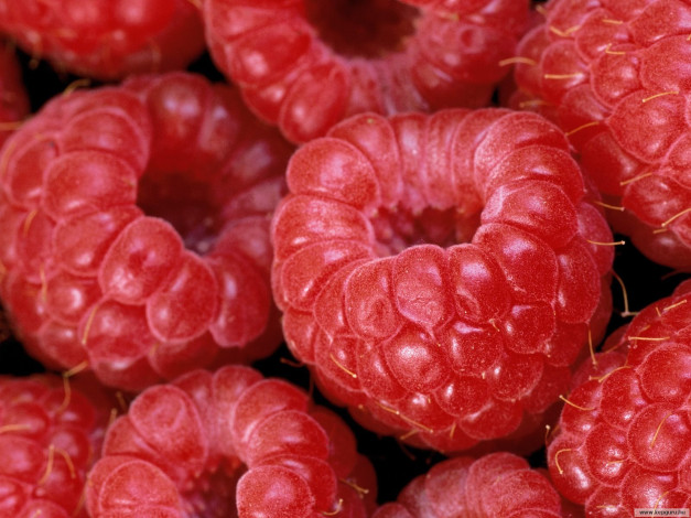 Обои картинки фото еда, малина