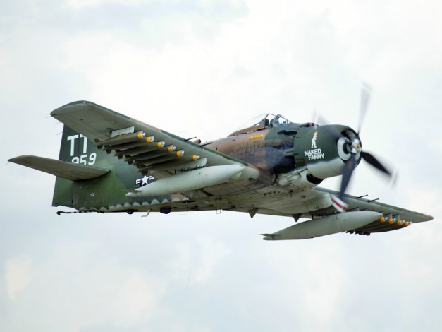 Обои картинки фото авиация, боевые, самолёты